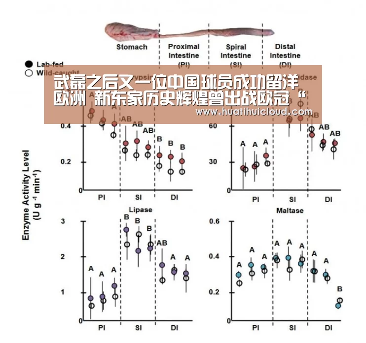 武磊之后又一位中国球员成功留洋欧洲 新东家历史辉煌曾出战欧冠“huatihui”(图2) 武磊之后又一位中国球员成功留洋欧洲 新东家历史辉煌曾出战欧冠“huatihui”(图2)