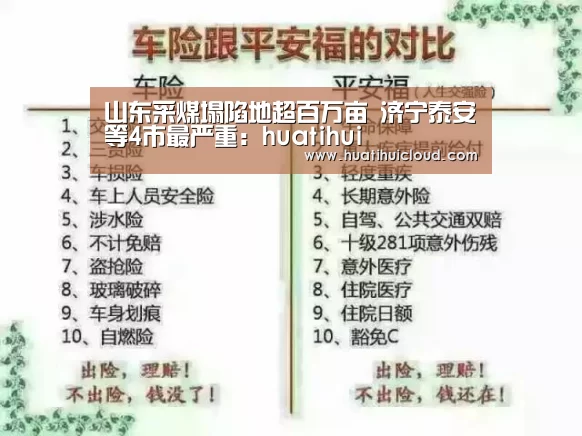 华体会体育网站入口