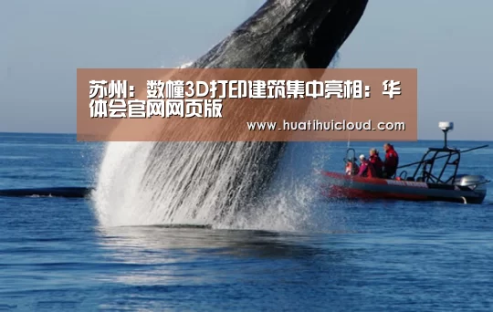 华体会体育网站入口