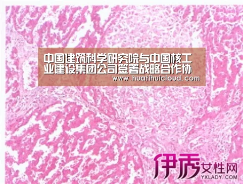 中国建筑科学研究院与中国核工业建设集团公司签署战略合作协议：